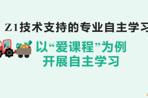 Z1技术支持的专业自主学习作业完整版