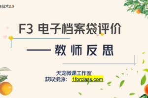 信息技术提升工程2.0作业F3电子档案袋评价